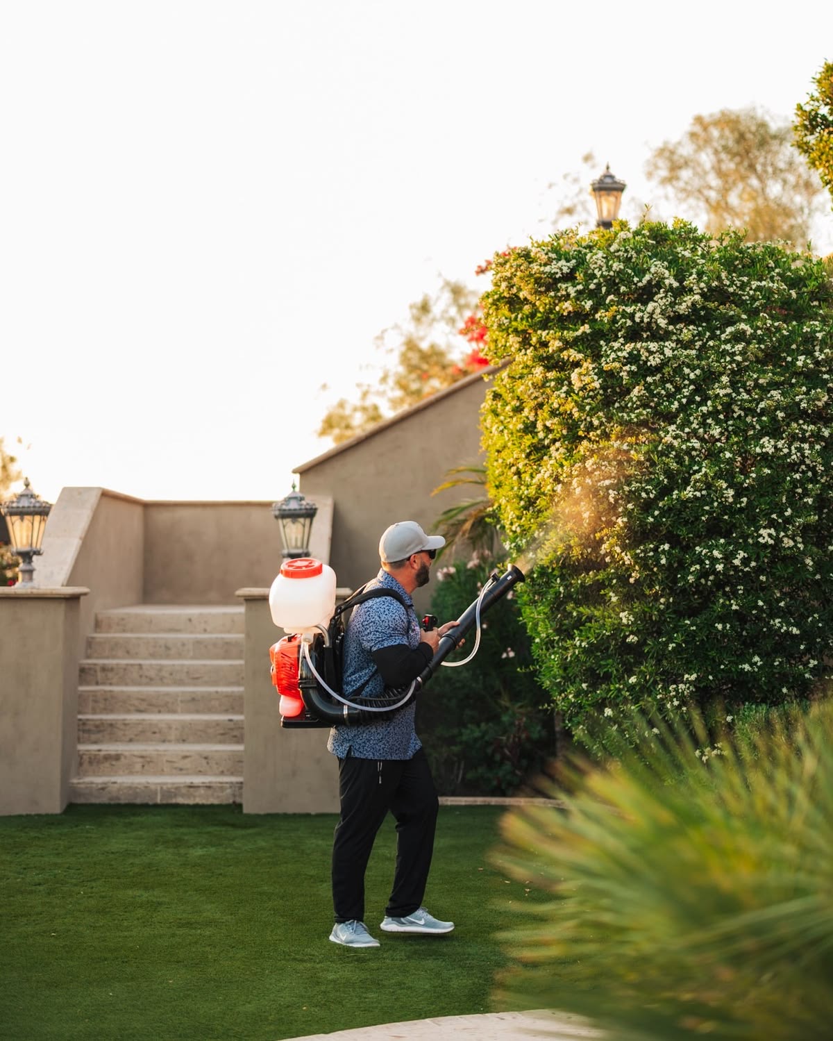 Pest control technician treating a hedge